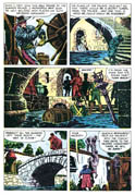 Zorro 028