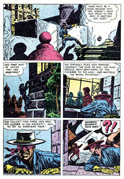 Zorro 16