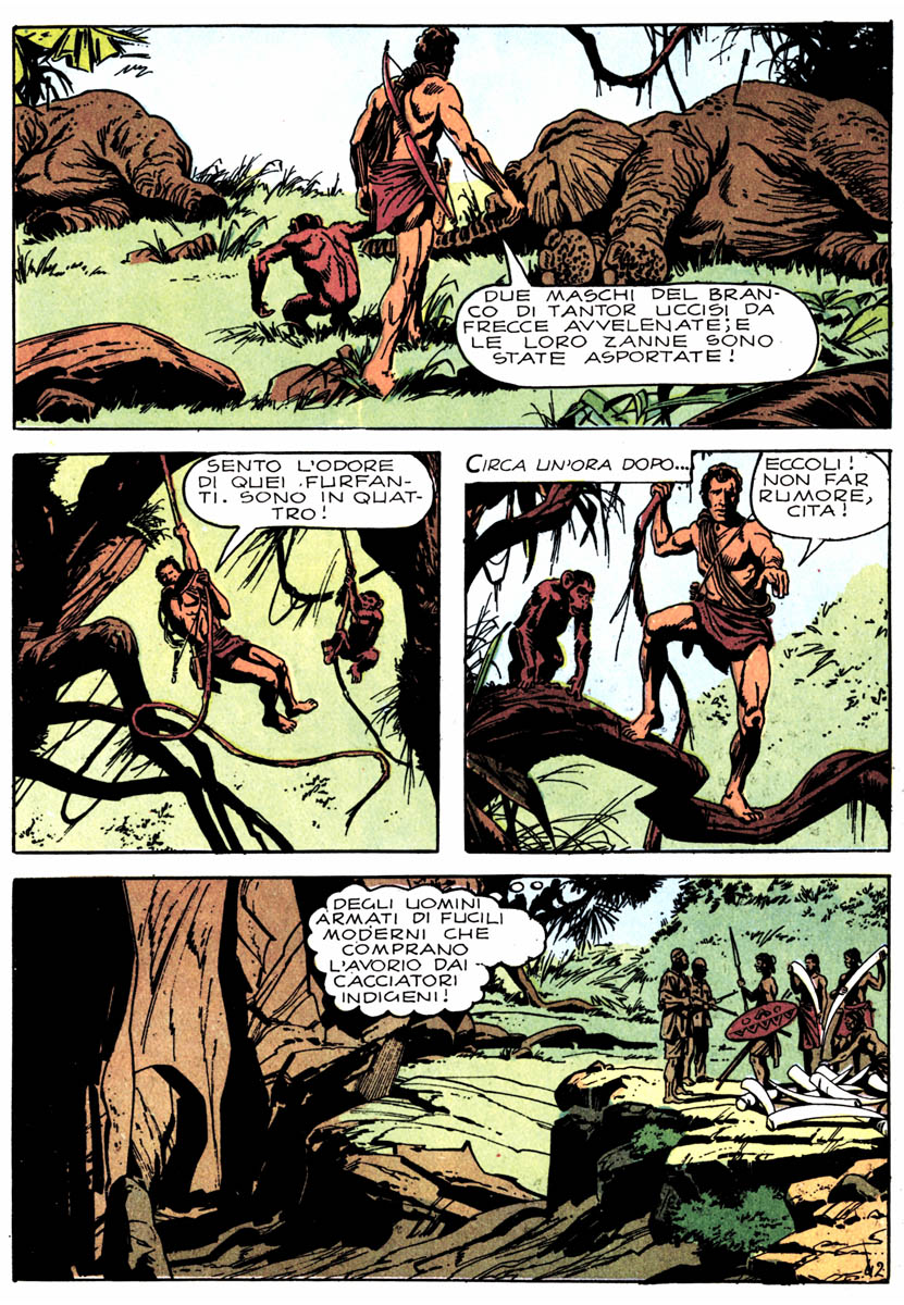 Tarzan 07-05