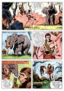 Tarzan 168-04